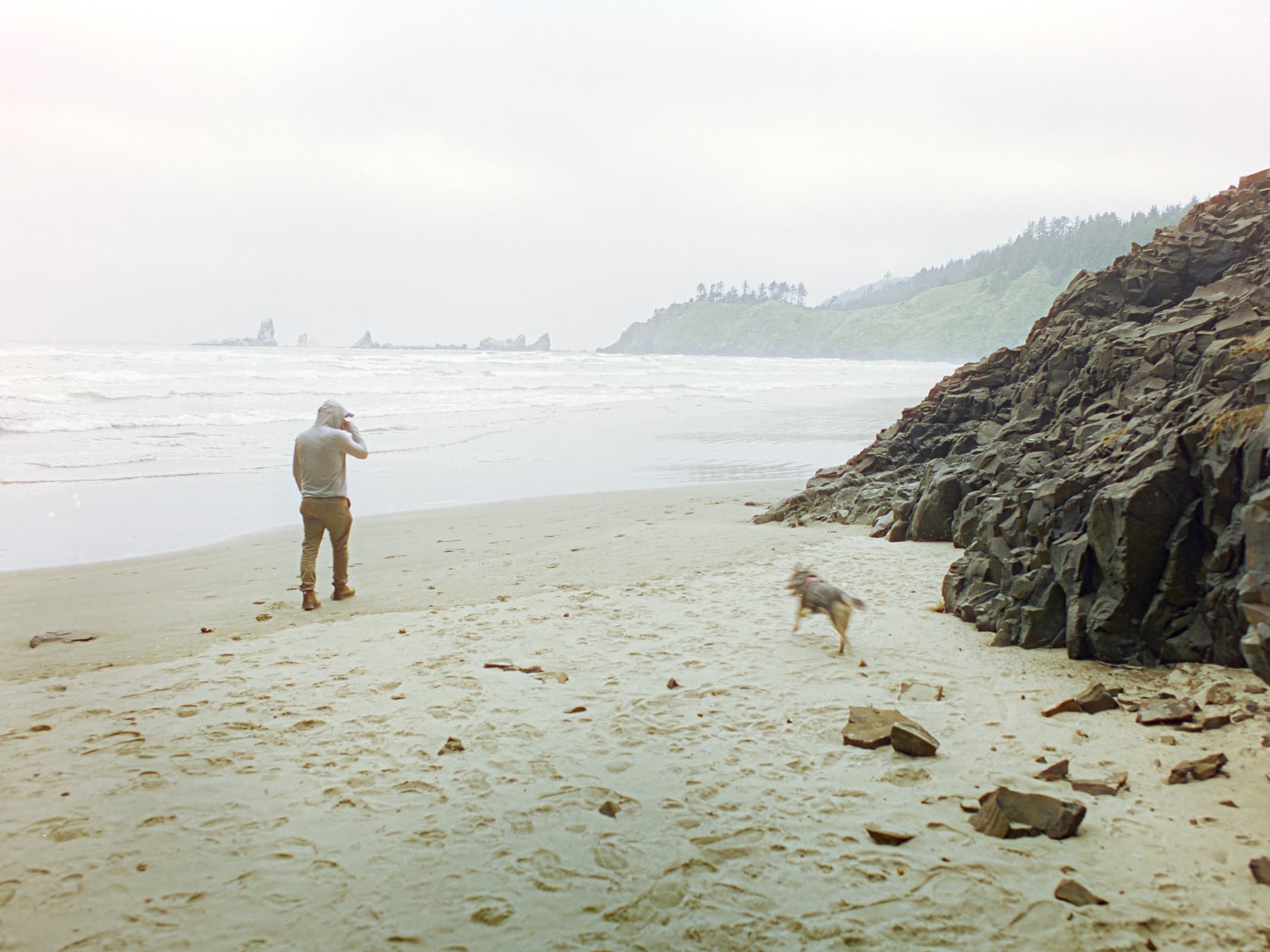 a person and their dog are walking on a black-rock beach in very cloudy conditions